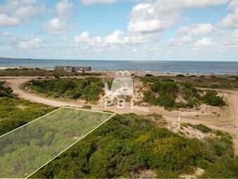 https://web5.gallito.com.uy/terreno-en-venta-chihuahua-ref-pbi1363-inmuebles-23063203