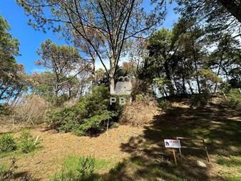 https://web5.gallito.com.uy/terreno-en-venta-club-del-lago-ref-pbi1367-inmuebles-23142108