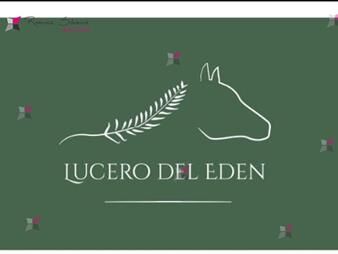 https://www.gallito.com.uy/chacras-lucero-del-eden-50-financiado-inmuebles-27091796