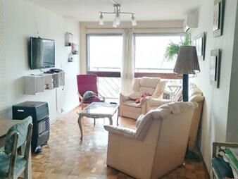 https://web5.gallito.com.uy/apartamento-en-venta-con-renta-2-dormitorios-1-baño-emil-inmuebles-20381185