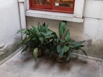 https://web5.gallito.com.uy/ph-en-venta-2-dormitorios-1-baño-patio-tres-cruces-inmuebles-25955229