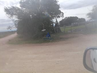 https://web5.gallito.com.uy/86-hectareas-forestal-ruta-109-inmuebles-25193661