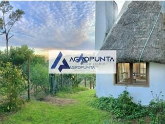 https://web5.gallito.com.uy/casa-en-mansa-4-dormitorios-inmuebles-17597999