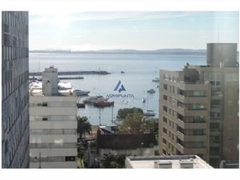 https://web5.gallito.com.uy/apartamento-en-peninsula-2-dormitorios-inmuebles-17597337