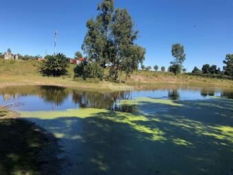 https://web5.gallito.com.uy/venta-terreno-manga-camino-el-cordero-36980m2-a-mts-camino-inmuebles-27031987