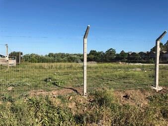 https://web5.gallito.com.uy/alquiler-terreno-carrasco-norte-proximo-felipe-cardozo-y-co-inmuebles-13777246