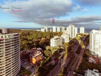 https://web5.gallito.com.uy/venta-apartamento-1-dormitorio-edificio-gala-vista-inmuebles-27092480