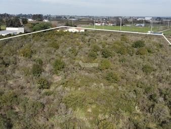 https://web5.gallito.com.uy/venta-terreno-melilla-camino-fauquet-y-ruta-5-37001m-con-c-inmuebles-17193596