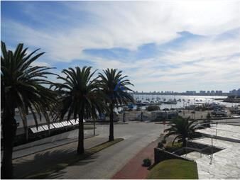 https://web5.gallito.com.uy/frente-al-puerto-inmuebles-19932853