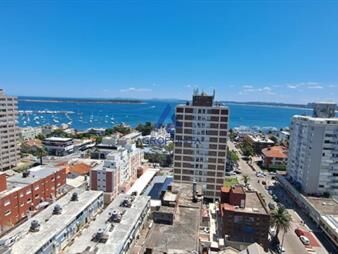 https://web5.gallito.com.uy/apartamento-en-peninsula-1-dormitorios-inmuebles-25831534
