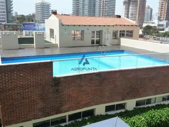 https://web5.gallito.com.uy/apartamento-en-brava-1-dormitorios-inmuebles-17596712