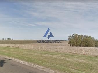 https://www.gallito.com.uy/sobre-ruta-104-km-inmuebles-18769664