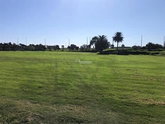 https://web5.gallito.com.uy/terreno-venta-melilla-el-mejor-para-logistica-sobre-ruta-5-inmuebles-20135259