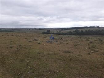 https://www.gallito.com.uy/campo-de-47-has-en-paraje-los-caracoles-consulte-inmuebles-19933082