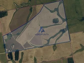 https://www.gallito.com.uy/campo-agricola-ganadero-inmuebles-25793988