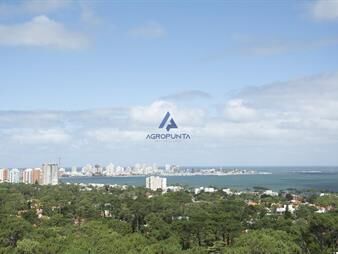 https://web5.gallito.com.uy/hermoso-departamento-en-venta-inmuebles-20105493