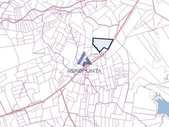 https://www.gallito.com.uy/campo-sobre-ruta-inmuebles-21874006