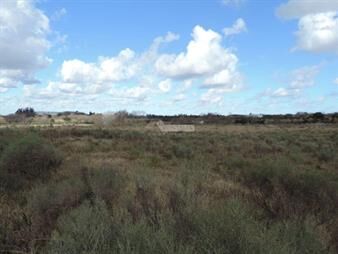 https://web5.gallito.com.uy/terreno-venta-colon-170000m2-para-logistica-5-cuadras-r102-inmuebles-20143983