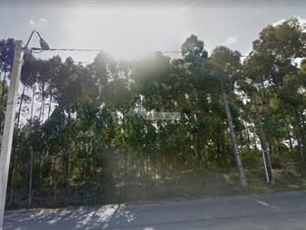 https://www.gallito.com.uy/terreno-venta-pando-camino-bertolotti-prox-ruta-8-y-101-inmuebles-20153683