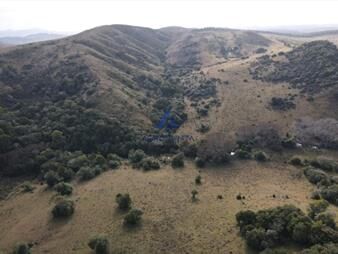 https://web5.gallito.com.uy/venta-campo-92-hectareas-minas-lavalleja-inmuebles-26814476