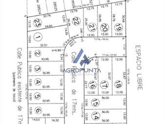 https://web5.gallito.com.uy/venta-terreno-nro-10-maldonado-altos-de-la-laguna-338m2-inmuebles-26381026