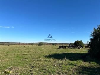 https://www.gallito.com.uy/42-has-pueblo-eden-buen-indice-coneat-excelentes-vista-inmuebles-25703261