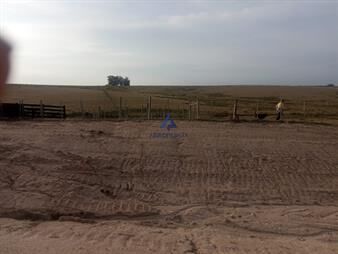 https://web5.gallito.com.uy/campo-en-venta-inmuebles-25910335