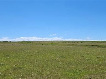 https://www.gallito.com.uy/125-has-sobre-r9-muy-bien-campo-agricola-ganadero-inmuebles-23098304
