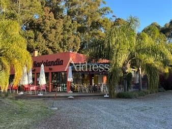 https://web5.gallito.com.uy/local-comercial-y-terreno-sobre-ruta-ib-punta-ballena-inmuebles-26000529
