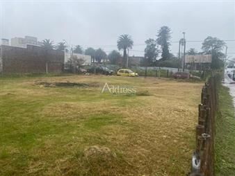 https://web5.gallito.com.uy/terreno-maldonado-inmuebles-22660548