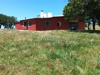 https://www.gallito.com.uy/chacra-en-venta-en-pueblo-eden-inmuebles-26837062