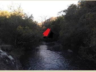 https://web5.gallito.com.uy/muy-buen-campo-100-ganadero-en-ruta-12-inmuebles-18755360