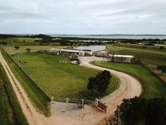 https://web5.gallito.com.uy/chacra-en-venta-en-jose-ignacio-punta-del-este-inmuebles-27097579