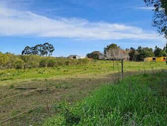 https://web5.gallito.com.uy/vendo-campo-200-mts-de-frente-ruta-1-inmuebles-26875303
