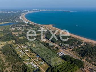 https://web5.gallito.com.uy/venta-de-terreno-en-vilaverde-inmuebles-26765743