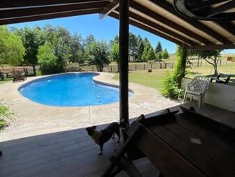 https://www.gallito.com.uy/establecimiento-completo-a-30-minutos-de-punta-no-se-lo-pi-inmuebles-23957465