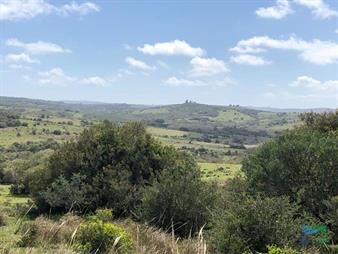 https://www.gallito.com.uy/102-has-en-las-sierras-buen-campo-criador-cerca-de-aigua-inmuebles-26177633