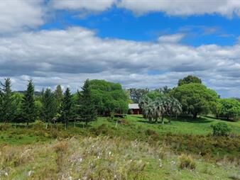 https://web5.gallito.com.uy/espectacular-campo-chico-si-buscas-un-refugio-para-el-rec-inmuebles-25570803