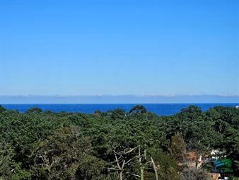 https://web5.gallito.com.uy/apartamento-en-venta-3-dormitorios-sobre-roosevelt-inmuebles-25743249