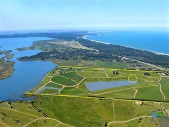 https://www.gallito.com.uy/venta-de-terreno-en-laguna-de-los-cisnes-con-costa-de-lagun-inmuebles-25855262