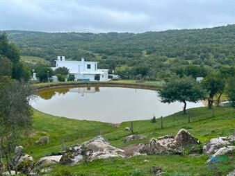https://www.gallito.com.uy/campo-en-venta-a-los-pies-del-cerro-catedral-aigua-inmuebles-25482884