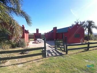 https://www.gallito.com.uy/400-has-ganaderas-muy-cerca-de-punta-arroyo-y-monte-nativ-inmuebles-22538652