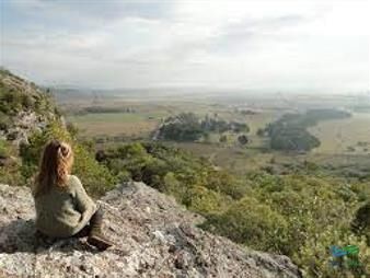 https://www.gallito.com.uy/278-has-de-naturaleza-intacta-a-menos-de-1-hora-de-punta-inmuebles-22538713