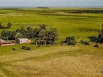 https://web5.gallito.com.uy/excelente-estancia-completa-agricola-ganadera-sobre-r9-y-inmuebles-22650639