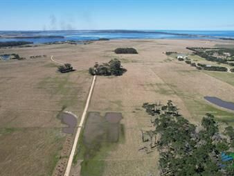 https://web5.gallito.com.uy/venta-de-chacra-en-jose-ignacio-5-has-inmuebles-25311607