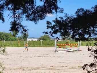 https://www.gallito.com.uy/amantes-de-los-caballos-tienen-su-refugio-de-fin-de-semana-inmuebles-25373432
