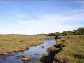 https://www.gallito.com.uy/172-has-campo-ganadero-ruta-14-y-ruta-9-inmuebles-25252913