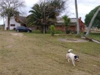 https://web5.gallito.com.uy/buen-campo-ganadero-con-muy-buen-acceso-sobre-ruta-inmuebles-24717522