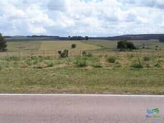https://web5.gallito.com.uy/18-has-r39-a-30-kms-de-punta-y-pocos-minutos-de-r9-inmuebles-24678306