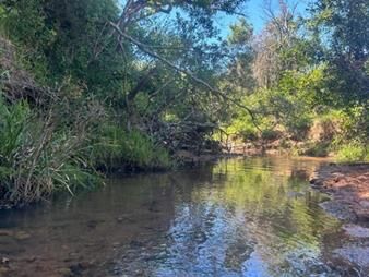 https://www.gallito.com.uy/577-has-campo-ganadero-forestal-inmuebles-27092793